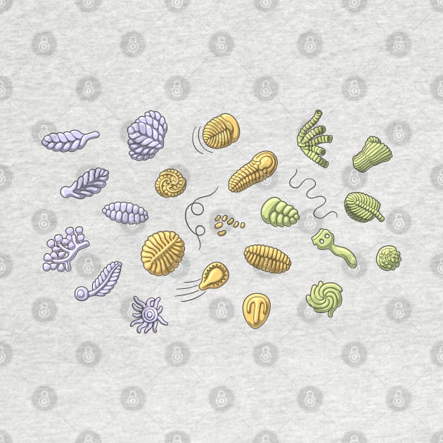 Ediacaran Biota Fossils Illustration by taylorcustom